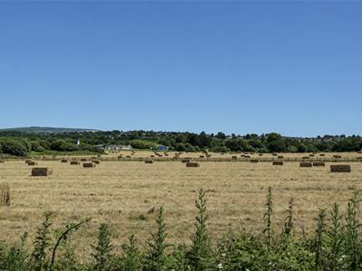 Picture 28